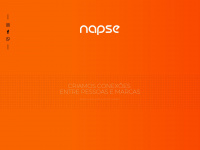 napse.com.br