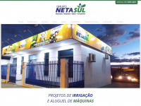 netasul.com.br