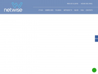 Netwise.com.br