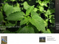 Biodiversidade.com.pt