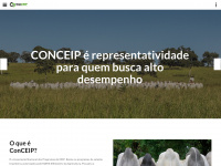 conceip.com.br