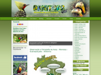 Ornithos.com.br