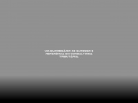 Villelaconsultoria.com.br