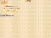 Andreazza.com.br