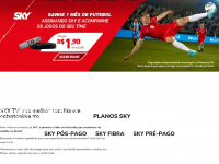 Skytvassinaturas.com.br