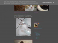 Gatos-atos-eu.blogspot.com