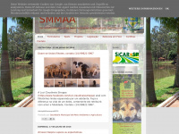 Smmaa-ourinhos.blogspot.com