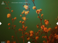 Voltzdesign.com.br