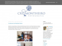 Cristinamontheiro.blogspot.com
