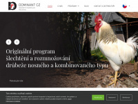 Dominant-cz.cz