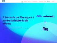 flin.com.br