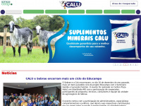 Calu.com.br
