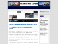 schneider-consult.com.br