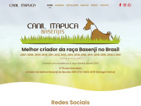 Canilitapuca.com.br