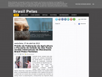 Brasilpelasflorestas.blogspot.com