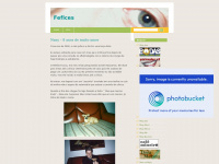 Fefas.wordpress.com