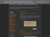 Dirtycrowssurfboards.blogspot.com