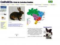 Coelhoecia.com.br