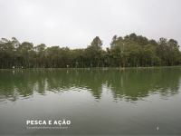 Pescaeacao.com.br
