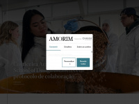 Amorim.com