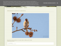 Joseloureirophotography-aves.blogspot.com