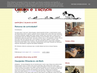 Gatosetachos.blogspot.com