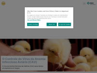 Anemia-infecciosa-aviaria.com