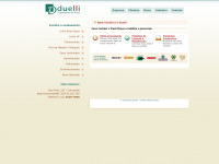 duelli.com.br