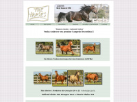 Thehorses.com.br