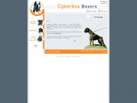 Cyberbox-boxers.com