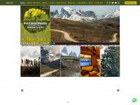 patagonianinternationalmarathon.com