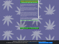 Cannabiscafe.net