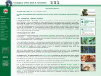eucalyptus.com.br