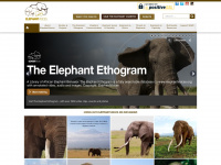 Elephantvoices.org