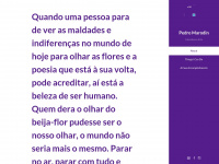 Pedromarodin.com.br