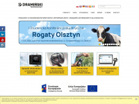 Draminski.pl