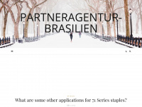 Partneragentur-brasilien.com