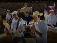 Picatumilho.com