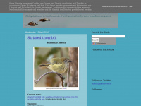 Planetbirds.blogspot.com