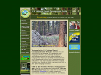 Forestcamping.com
