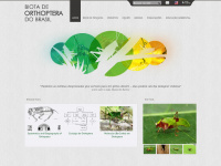 Orthoptera.com.br