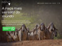 Indaya.com.br