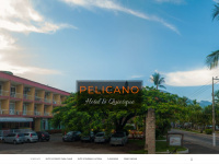 hotelpelicano.com.br
