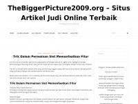 Thebiggerpicture2009.org