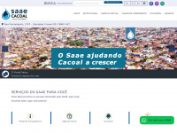 Saaecacoal.com.br