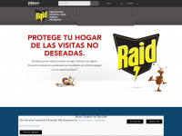 Raid.com.pe