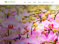 ecoflora.com.br
