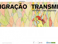 Transmigracao.com.br
