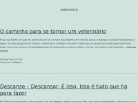 Agenciadsn.com.br