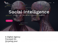 social-intel.com.br